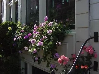Barrio Casa de hóspedes 3*