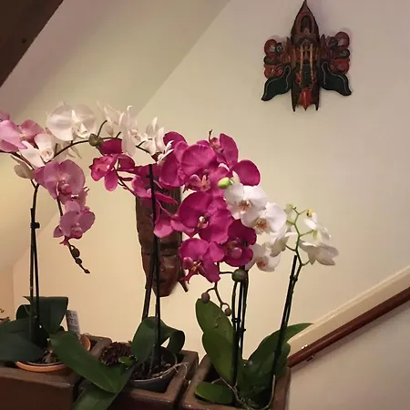 Гостевой дом Barrio 3*