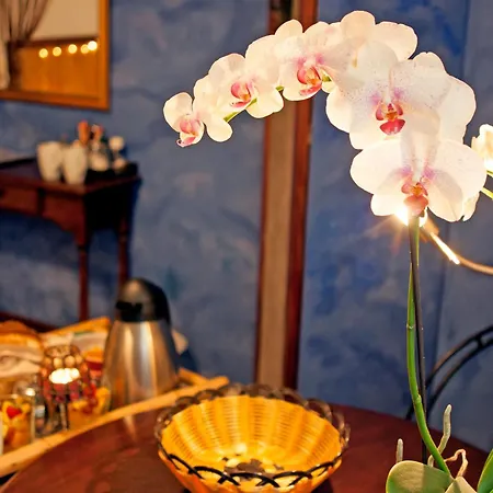 Barrio Гостевой дом