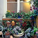 Barrio Amszterdam