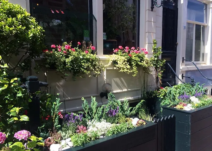 Guest house Barrio Amsterdam