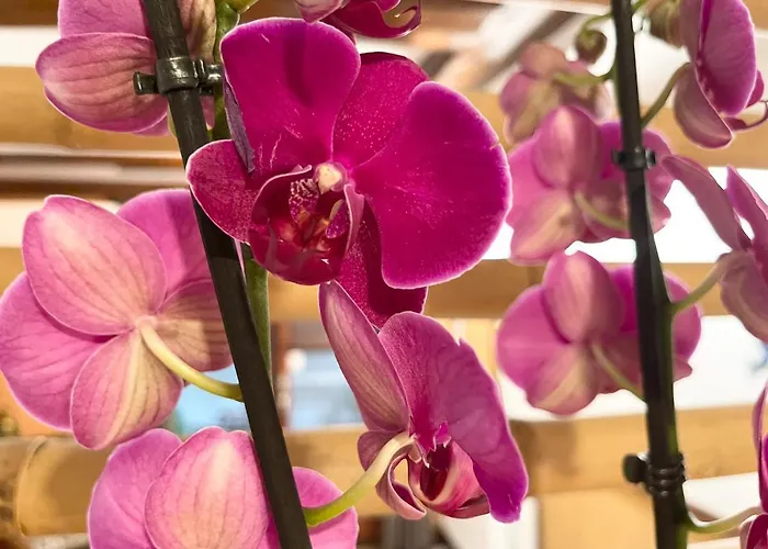 Guest house Barrio 3*