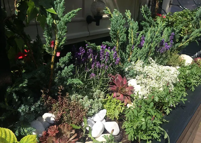 Barrio أمستردام